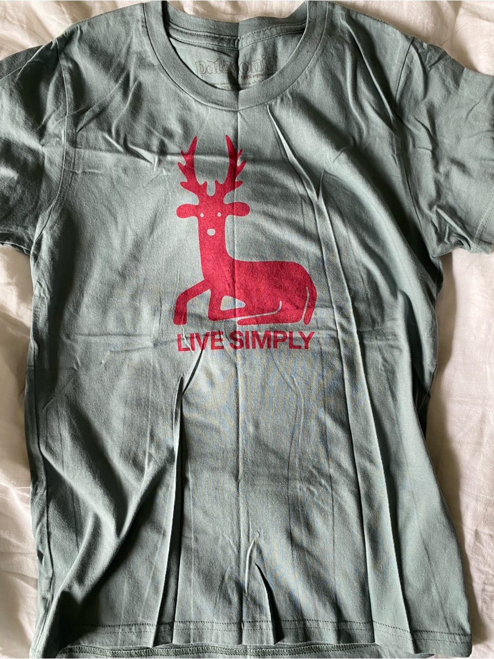 Patagonia Sage Green Short Sleeve Tee